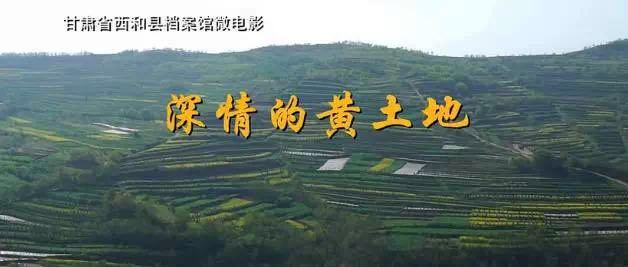 ����Ļ�����