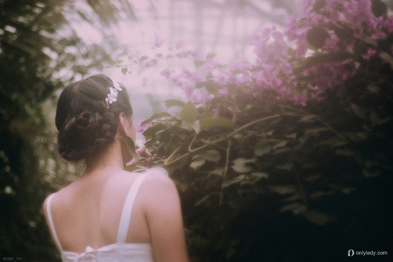 ���ĵĻ���