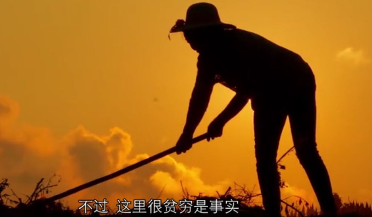 �����°�